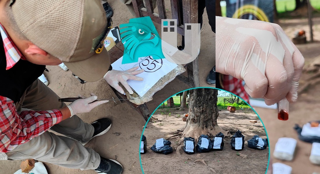 Golpe a banda narco internacional: secuestran 92 kilos de droga en La Leonesa