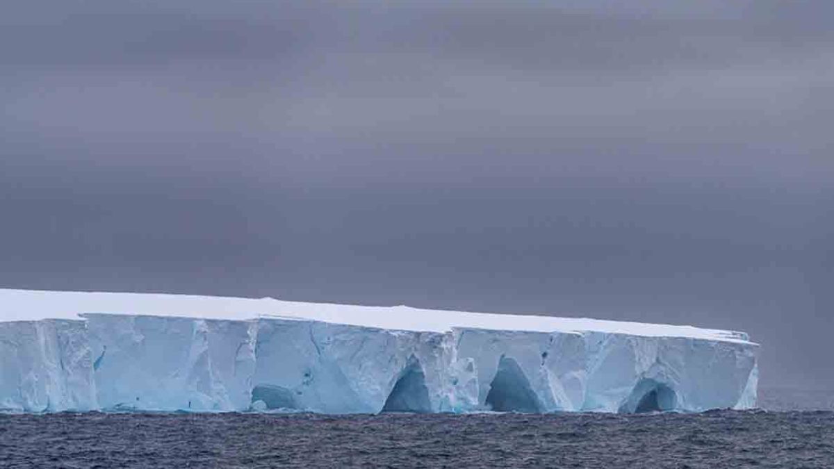 Colosal iceberg de un billón de toneladas se desprende y viaja a la deriva en el Océano Austral