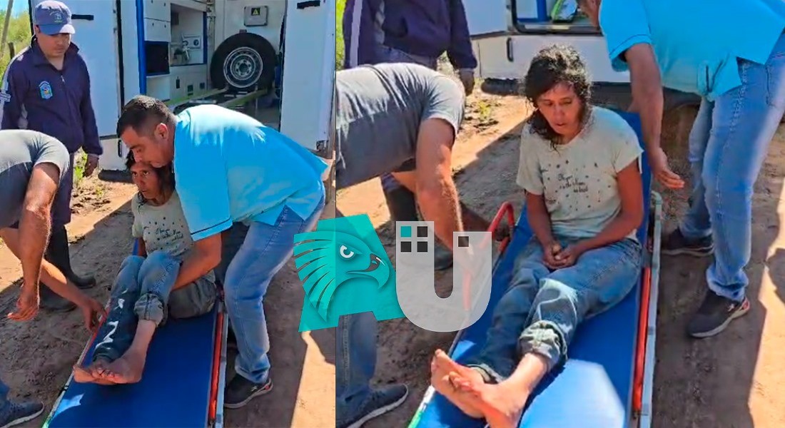 Deshidratada y desorientada, hallan en pleno monte a mujer buscada hace días