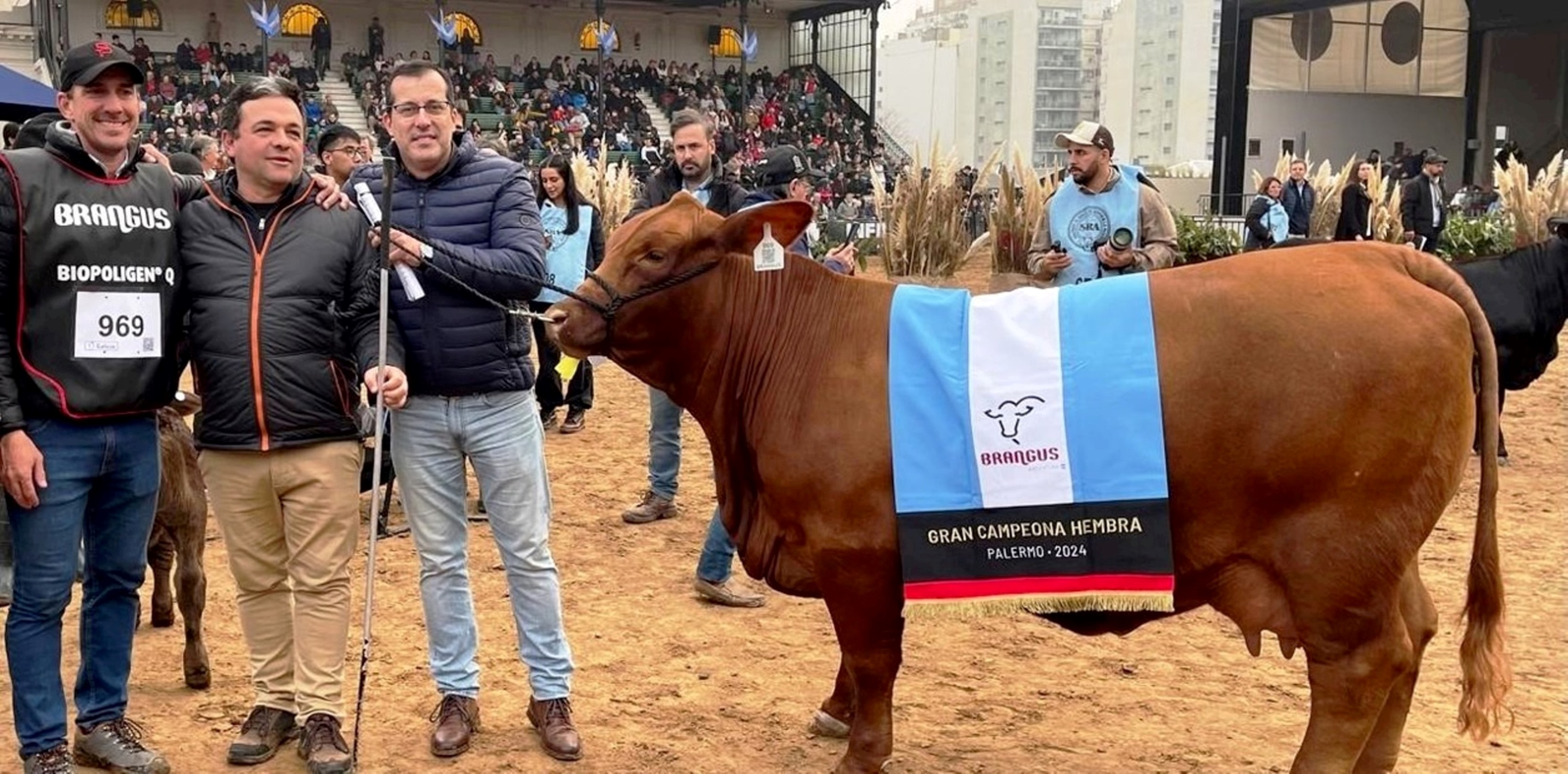 La mejor vaca Brangus del mundo es chaqueña: se coronó en Palermo y pide pista en el resto del país