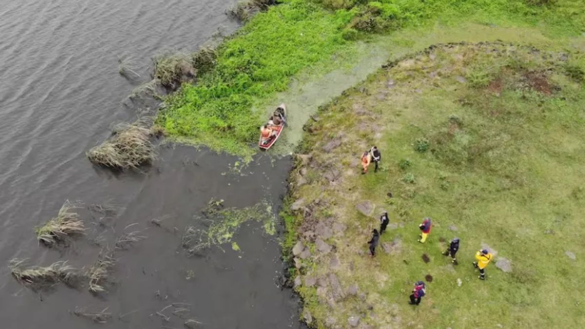 Caso Loan: drenan lagunas para seguir buscando al pequeño