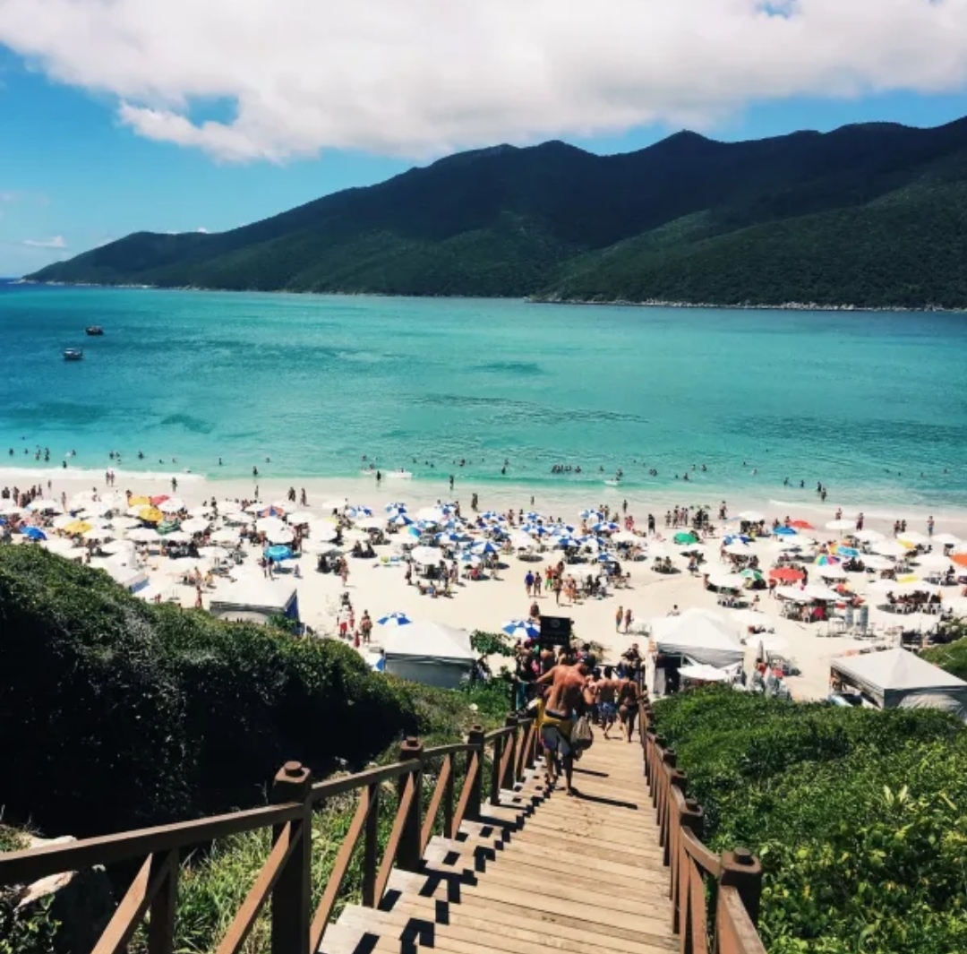 Alerta en Brasil: el mar contaminado afecta a gran cantidad de turistas